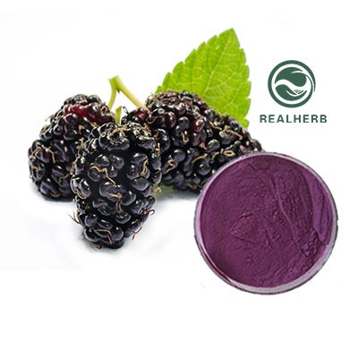 Šilkmedžio vaisių milteliai